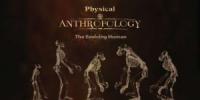 physicalanthropology 300x150